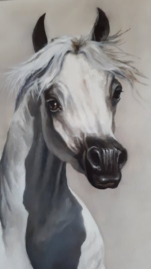 BEAUTY Fine Art Print from original oil painting |  Animal Print | White Horse Poster |Fine Art Print | Poster Print | Wall Art | Wall Print