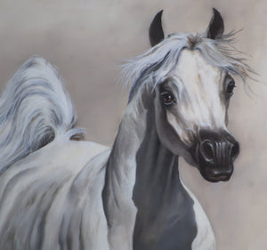 BEAUTY Fine Art Print from original oil painting |  Animal Print | White Horse Poster |Fine Art Print | Poster Print | Wall Art | Wall Print