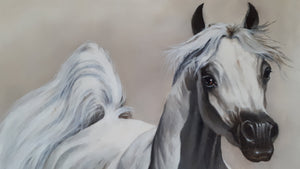 BEAUTY Fine Art Print from original oil painting |  Animal Print | White Horse Poster |Fine Art Print | Poster Print | Wall Art | Wall Print