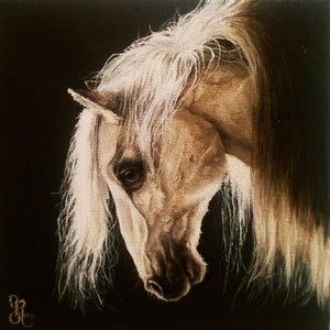 WHITE HORSE HEAD (1) Foshe ART