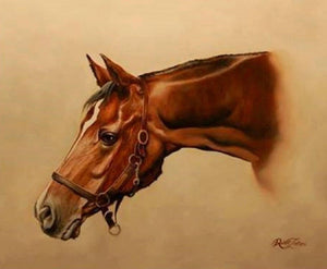 HORSE PORTRAIT Foshe ART