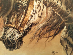 APPALOOSA Foshe ART